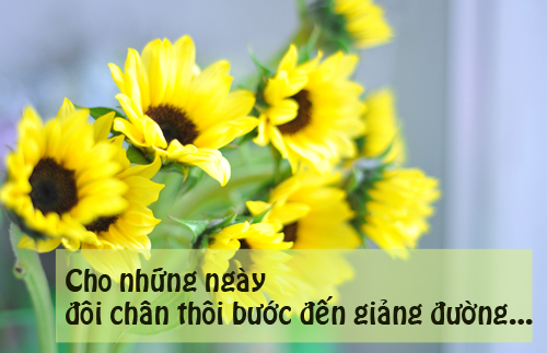 Tạm biệt th&aacute;ng 7