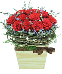 Hoa 8 th&aacute;ng 3