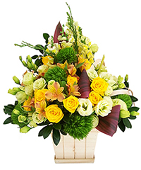 Hoa 8 th&aacute;ng 3