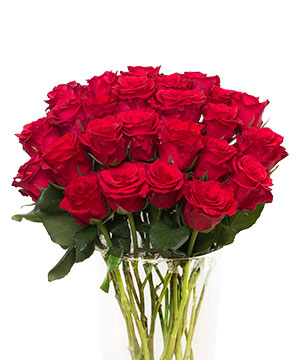Hoa hồng đỏ sa - hoa lẻ | hoa tươi cắt cành