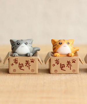 Mèo mini trong hộp