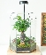Terrarium peaceful