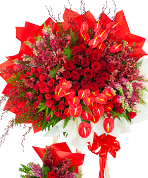 Vững bước