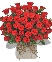 Only rose 1