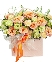 Sức sống mới