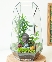 Terrarium an yên