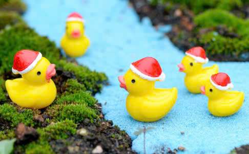 1688 - Vịt vàng mũ noel