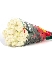 Hồng Trắng - White Rose (10B)