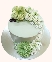Bánh kem sữa tươi đặc biệt mứt dâu tây (M03)