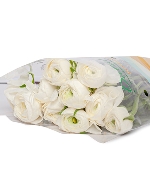 Mao lương trắng (10 cành)