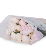 Hoa mẫu đơn Fuji trắng (10 cành)