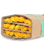 Hồng vàng Hà Lan (30 cành)