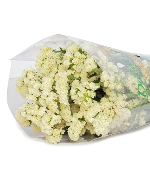 Salem vàng (500g)