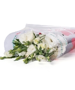 Cát tường trắng (500g)