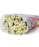 Cúc họa mi (400gr)
