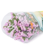 Salem hồng (500g)