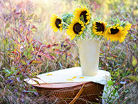 Tạm biệt tháng 7 - Tháng của những đổi thay