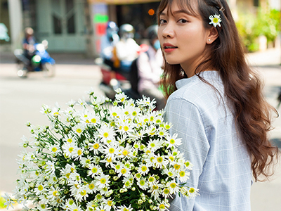 Những mùa hoa ấn tượng khắp 3 miền Việt Nam