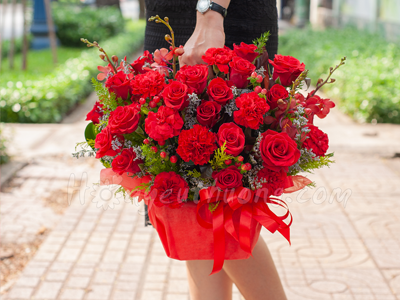 Ý nghĩa các loài hoa dành tặng cho phái đẹp, hoa ngày quốc tế phụ nữ