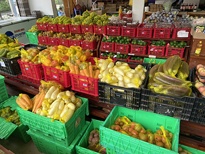 Chuyển mình mùa dịch, câu chuyện của hoa tươi và rau củ quả Lâm Đồng