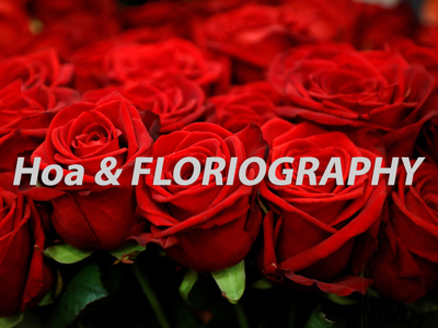 BẠN ĐÃ NGHE NÓI VỀ FLORIOGRAPHY? (A-D)