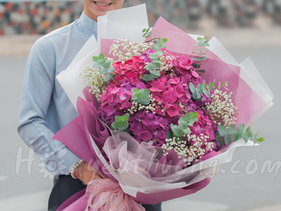 19 sự thật thú vị về hoa cẩm tú cầu