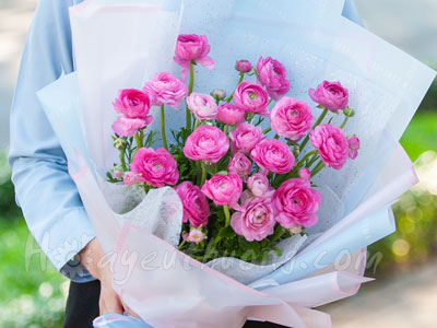 18 sự thật thú vị về hoa mao lương