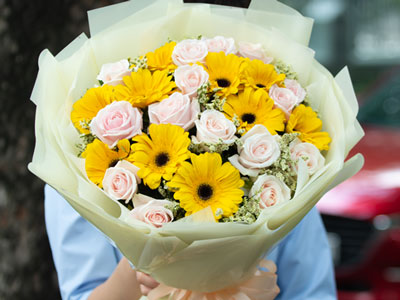 12 sự thật thú vị về hoa đồng tiền