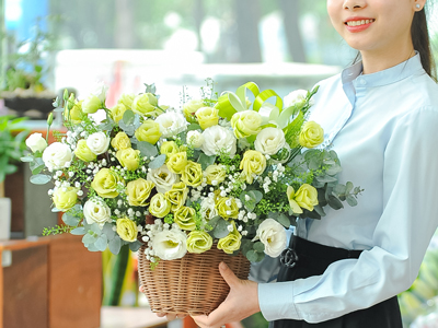 Hoa Cát Tường Đà Lạt Và Hoa Cát Tường Nhật