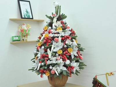 Tại sao giá tiền triệu nhưng thông tươi vẫn cháy hàng mùa Noel