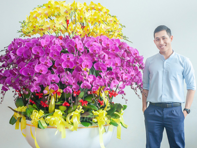 5 bí quyết chọn mua lan hồ điệp biếu Tết