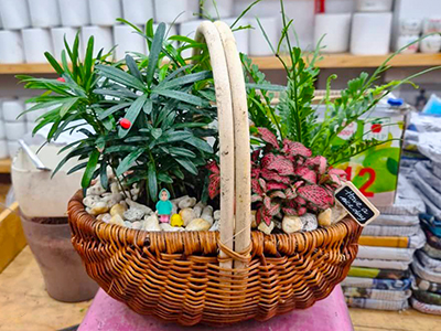 Giỏ hoa tái sử dụng: xu hướng tặng hoa tiết kiệm và thân thiện với môi trường