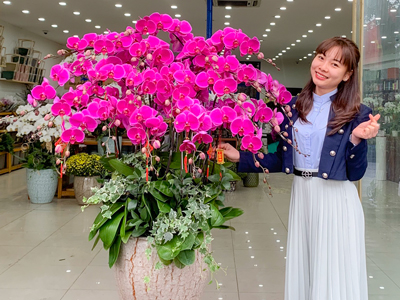 Tại sao nên chọn lan hồ điệp khai trương làm quà tặng?