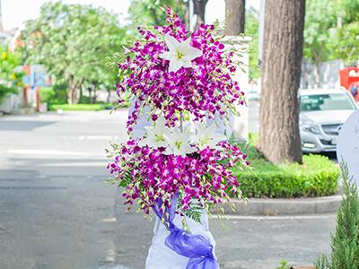 Vì sao hoa lan thái tím thường được chọn cắm trong kệ hoa chia buồn?