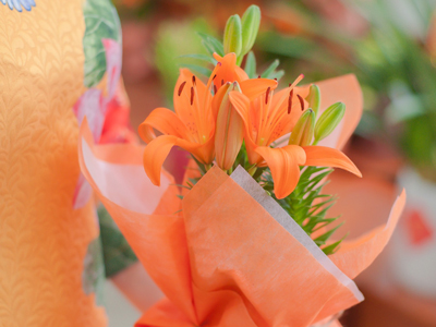 Giải oan cho những loài hoa bị hiểu lầm: ý nghĩa thực sự đằng sau những quan niệm cấm kỵ về hoa