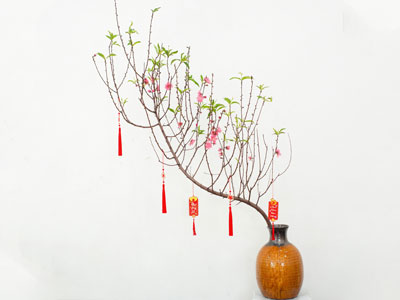 Chưng hoa gì trong những ngày cúng Tết cổ truyền?