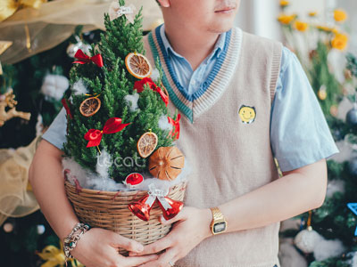 Cách chăm sóc cây cảnh trong mùa đông giá lạnh