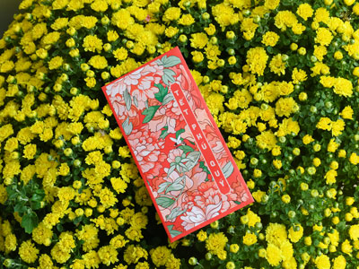 Tản mạn về ký ức hoa cúc vàng ngày Tết Việt