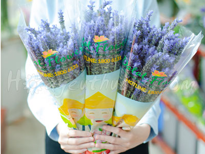 Những ý nghĩa của hoa Lavender mà có thể bạn chưa biết?