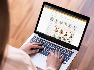 Kinh nghiệm chọn mua cây online để không bị “vỡ mộng”