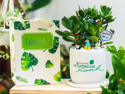 Kinh doanh cây cảnh online – bắt đầu từ đâu?