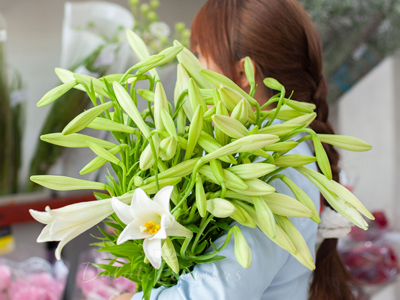 Loa kèn tháng 4, câu chuyện tìm 