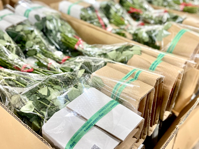 Cách bảo quản và vận chuyển hoa tươi đường dài, giữ hoa luôn tươi khi giao đi xa