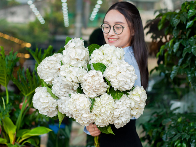 TẠI SAO HOA TÚ CẦU HÉO NHANH? MẸO GIỮ HOA TƯƠI SUỐT TUẦN