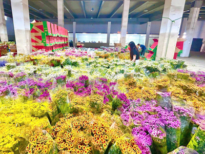 Ngành Hoa Tươi Việt Nam: “Ngành Kinh Tế Mềm” Đang Bừng Sáng Với Triển Vọng Tỷ Đô