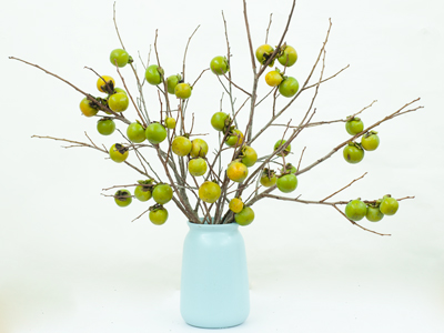 Bật mí các loại cành quả 