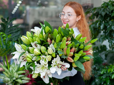 Làm sao để hoa ly (lily) nở nhanh hoặc chậm lại theo ý muốn?