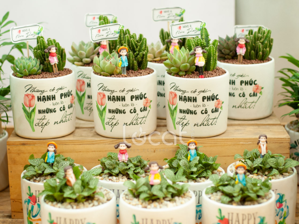 Top 5 cây để bàn: Quà 20/10 xinh yêu cho nàng công sở