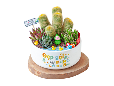 [7 Bước] Xử lý khi xương rồng bị úng nước: Hướng dẫn chi tiết từ A-Z