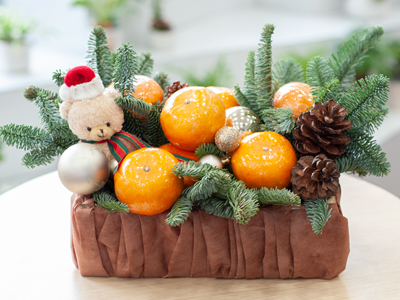 CÀNH THÔNG TƯƠI NHẬP KHẨU: ĐÁNH GIÁ CHẤT LƯỢNG, CÁCH GIỮ TƯƠI LÂU VÀ CÁC THIẾT KẾ XU HƯỚNG 2025